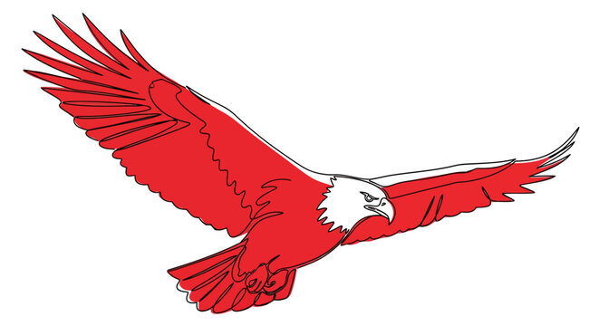 red eagle flying with outstretched wings