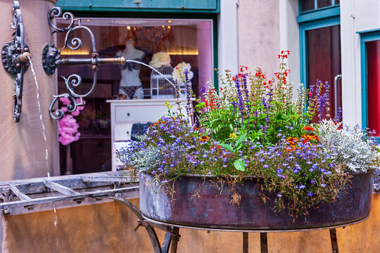 A container with tall sage, blue lobelia, verbena, and bacopa is set outside a shop. The bright plants add interest and charm to the urban scene on a sunny day. Switzerland, Zurich