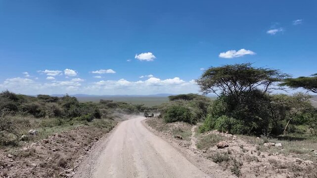 driving down a dusty road into the serengeti surrounded by trees and bushes &ndash; tanzania