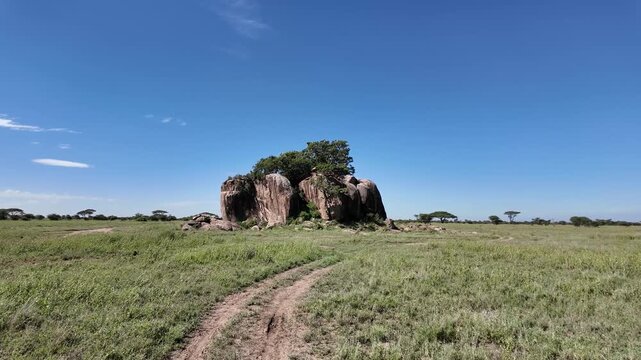 Jeep Adventure Through the Green Serengeti Landscape &ndash; Tanzania