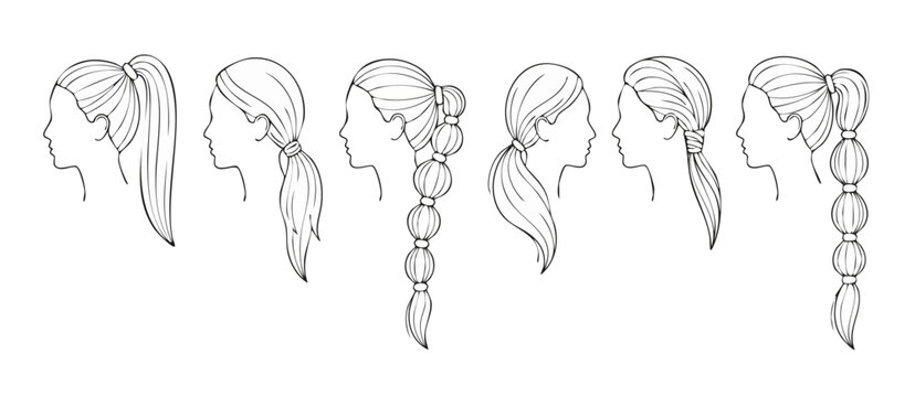 Woman Hairstyle Set Ponytail Illustrations, Line Art Female Profile Collection Showing Various Trendy Hair Styling Options, Minimalist Vector Drawing Isolated on White Background for Beauty Salon Desi