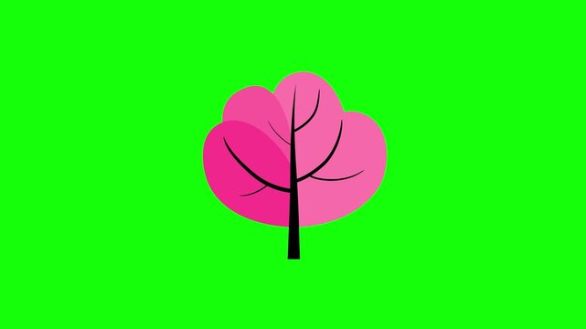 Cartoon animation of simple pink tree growing greenbox. Cute plant with branches animated business explainer presentation flat style video green screen. Good as backdrop motion graphics element.