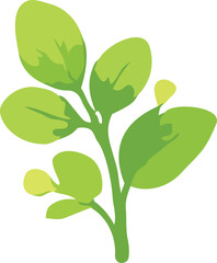 Obraz premium leaf