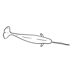 Narwhal tail tusk flipper sketch © Vexels