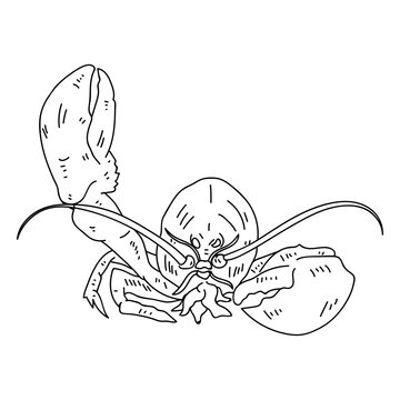 Lobster claw antenna stroke