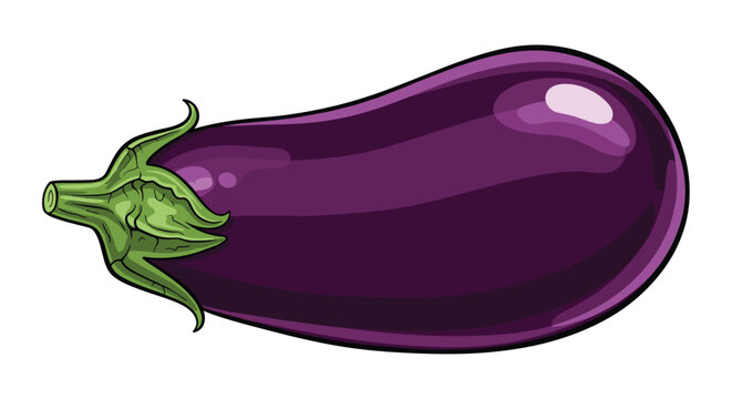 Single whole purple eggplant or aubergine with a shiny skin and a green calyx on a white background for food illustration.