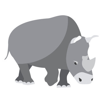 Rhinoceros rhino horn tail fat flat