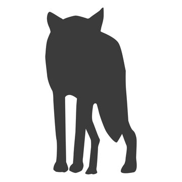 Tail wolf predator silhouette