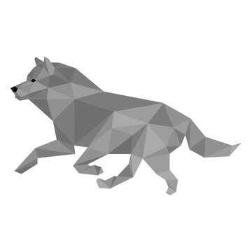 Wolf tail predator low poly