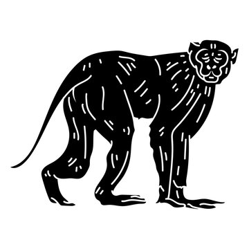 Capuchin monkey walking silhouette