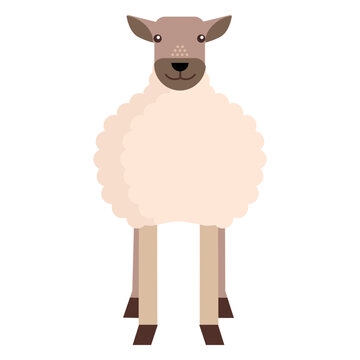 Sheep lamb hoof wool flat rounded geometric
