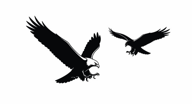 Two Eagles Flying in Formation Together.