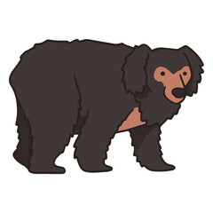 Obraz premium Sloth bear color stroke