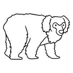 Obraz premium Sloth bear stroke