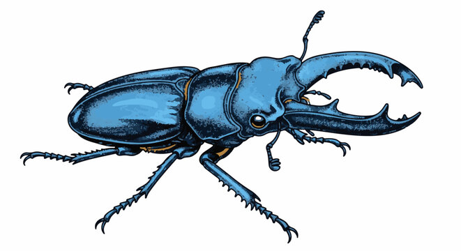 A blue beetle with large mandibles and segmented legs is depicted