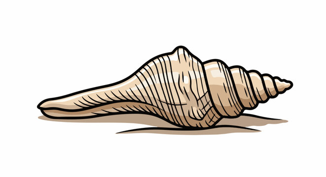 A beige, spiral-shaped sea shell rests on a sandy surface