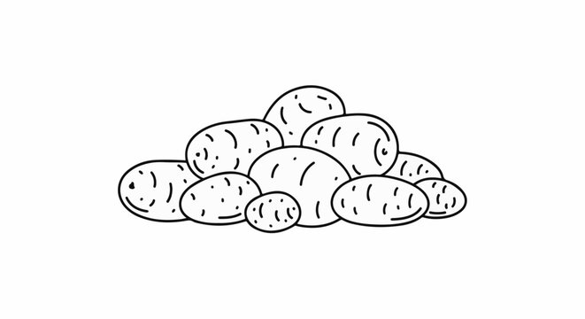 A hand-drawn illustration of a pile of lumpy, oval-shaped potatoes on a white background