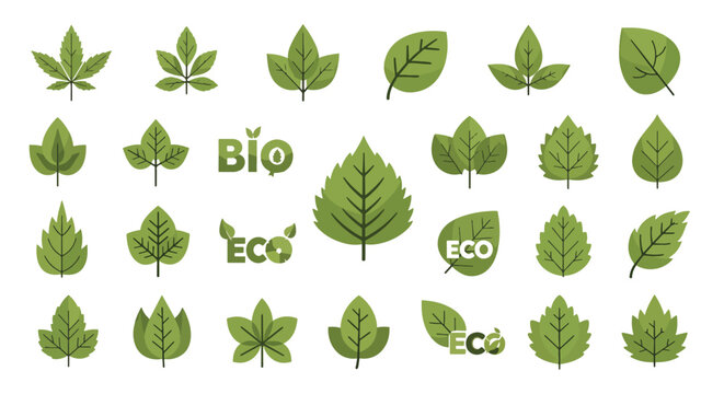 Variety of green leaves eco friendly.