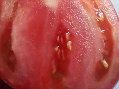 Beefsteak Tomato Cut Half Cross-Section Interior Image