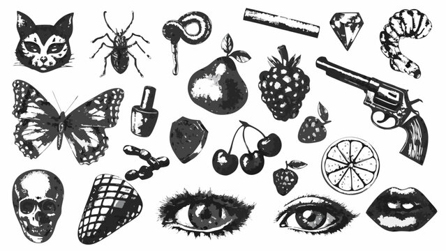 assorted vintage illustrations of objects including a skull butterfly and fruit on a white background high quality professional