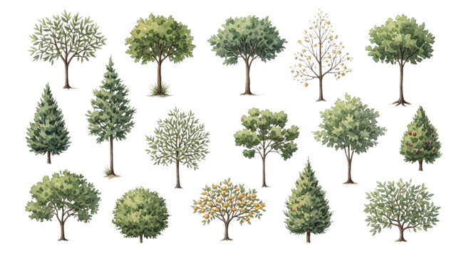 Watercolor Illustration Set of Diverse Orchard and Forest Trees with Fruit and Foliage