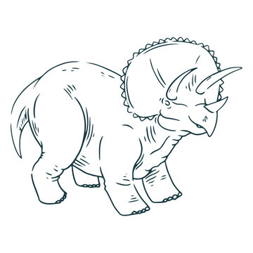 Drawing of triceratops