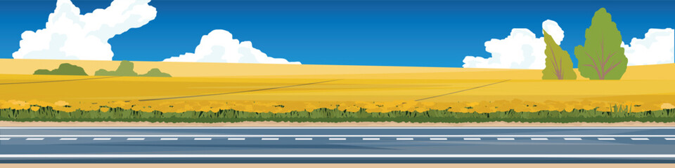 Obraz premium Horizontal or Landscape view of empty asphalt road. Backdrop was a field of vibrant yellow flowers covering the hillside. Contrasts with the green trees that are nestled in the middle. Under blue sky.