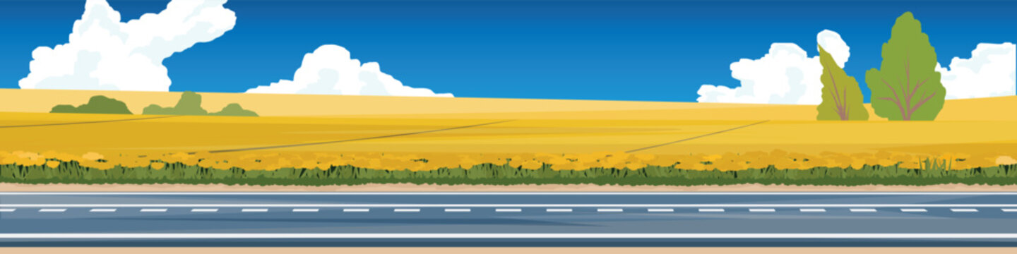 Horizontal or Landscape view of empty asphalt road. Backdrop was a field of vibrant yellow flowers covering the hillside. Contrasts with the green trees that are nestled in the middle. Under blue sky.