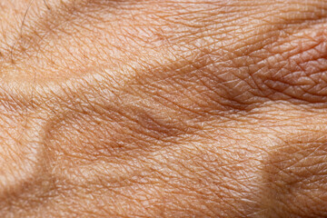 Fototapeta premium Extreme Close-up of Human Skin Texture with Fine Lines and Wrinkles,Macro,A detailed macro shot capturing the intricate texture, pores, and natural aging patterns of human skin on the hand.