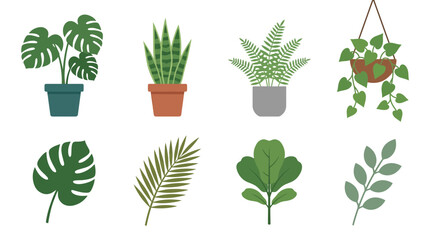 Variety of green house plants. © Payu