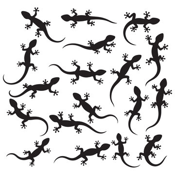 Lizard silhouette with many options, Gecko crawling climbing, Reptile lover