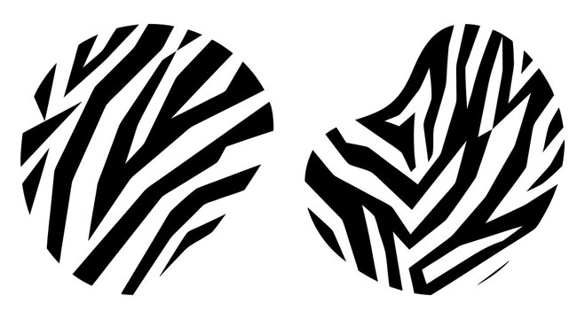 Zebra stripes bold black and white organic pattern