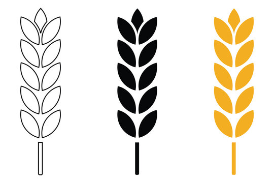 Wheat icon. Silhouette wheats isolated on white background. Rice icon. Wheats rye rice ears. Vector illustration.