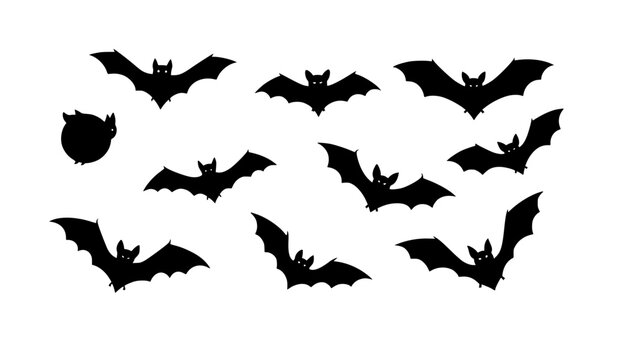 halloween bat and bats
