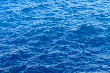 Obraz premium Vibrant blue sea dances under the sun at a serene coastal horizon, inviting tranquility and exploration.