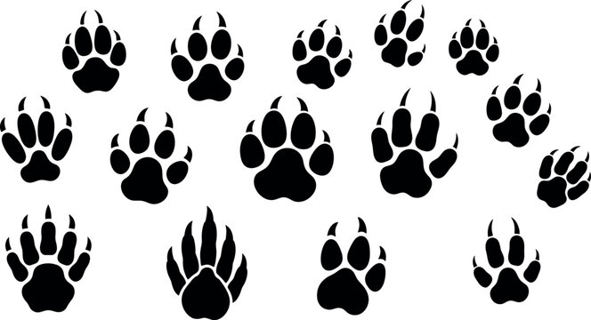 Collection of black animal paw prints on a white background illustrating wildlife tracking and animal identification