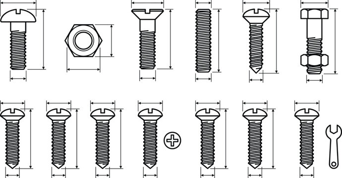 Bolt and Screw Technical Drawing Set Featuring Different Fastener Types with Measurements and Dimensions in Detailed Engineering Outline Vector Style