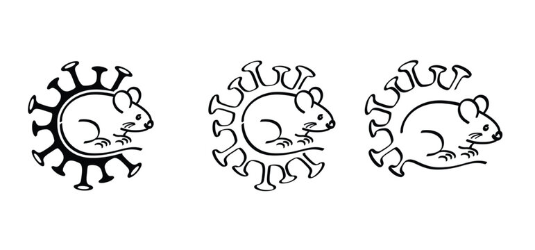 Hantavirus infHantavirus infections or hanta virus. Hantavirus, official name orthohantaviruses, are transmitted to humans through the urine, feces, and saliva of raections or hanta virus. Hantavirus,