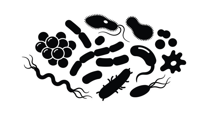 Collection of bacteria silhouettes on a white background