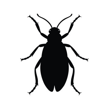 Minimalist black and white thrips insect silhouette vector illustration design, thrips silhouette vector illustration