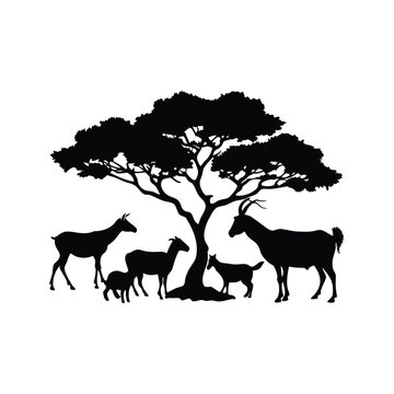 Silhouette of goats grazing under large tree vector illustration in black and white design, tree with goats grazing silhouette vector illustration