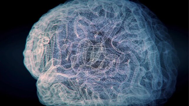 Digital representation of the human brain with intricate neural network connections