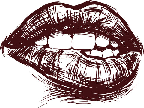 Sketch drawing of female lips biting as vector silhouette illustration.