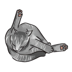 Gray cat with its paws up © Vexels