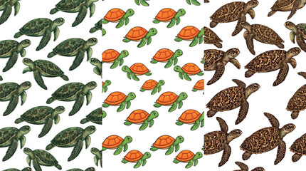 Turtle Patterns Illustration Featuring Realistic and Cartoon Styles in Vector Artwork © Ibrahim