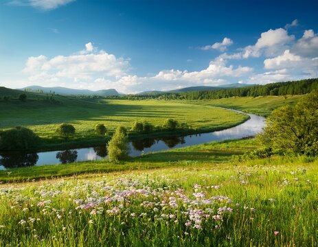 sommerliche landschaft mit wiesen und fluss