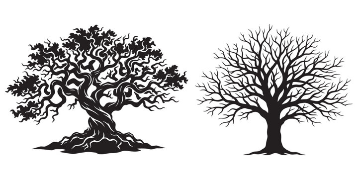 Two gnarled, barren silhouette trees with intricate branches vector illustration eps 10