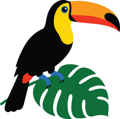 Fototapeta premium Tropical toucan bird vector illustration, exotic jungle animal on monstera leaf, colorful rainforest wildlife icon