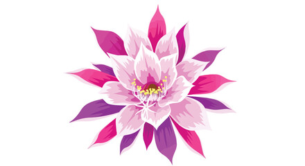 Fototapeta premium Beautiful Pink and Purple Cactus Flower Illustration Blooming on White Background
