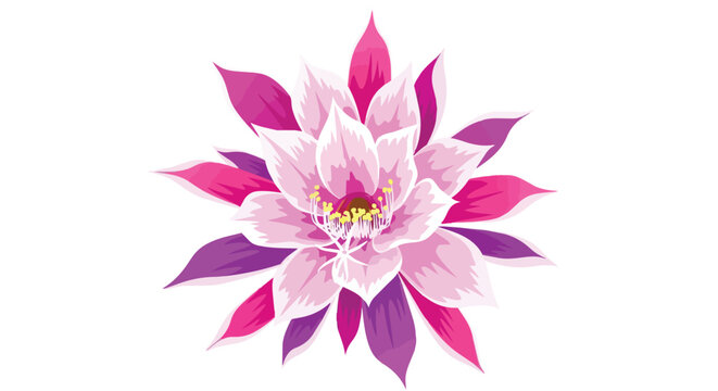 Beautiful Pink and Purple Cactus Flower Illustration Blooming on White Background